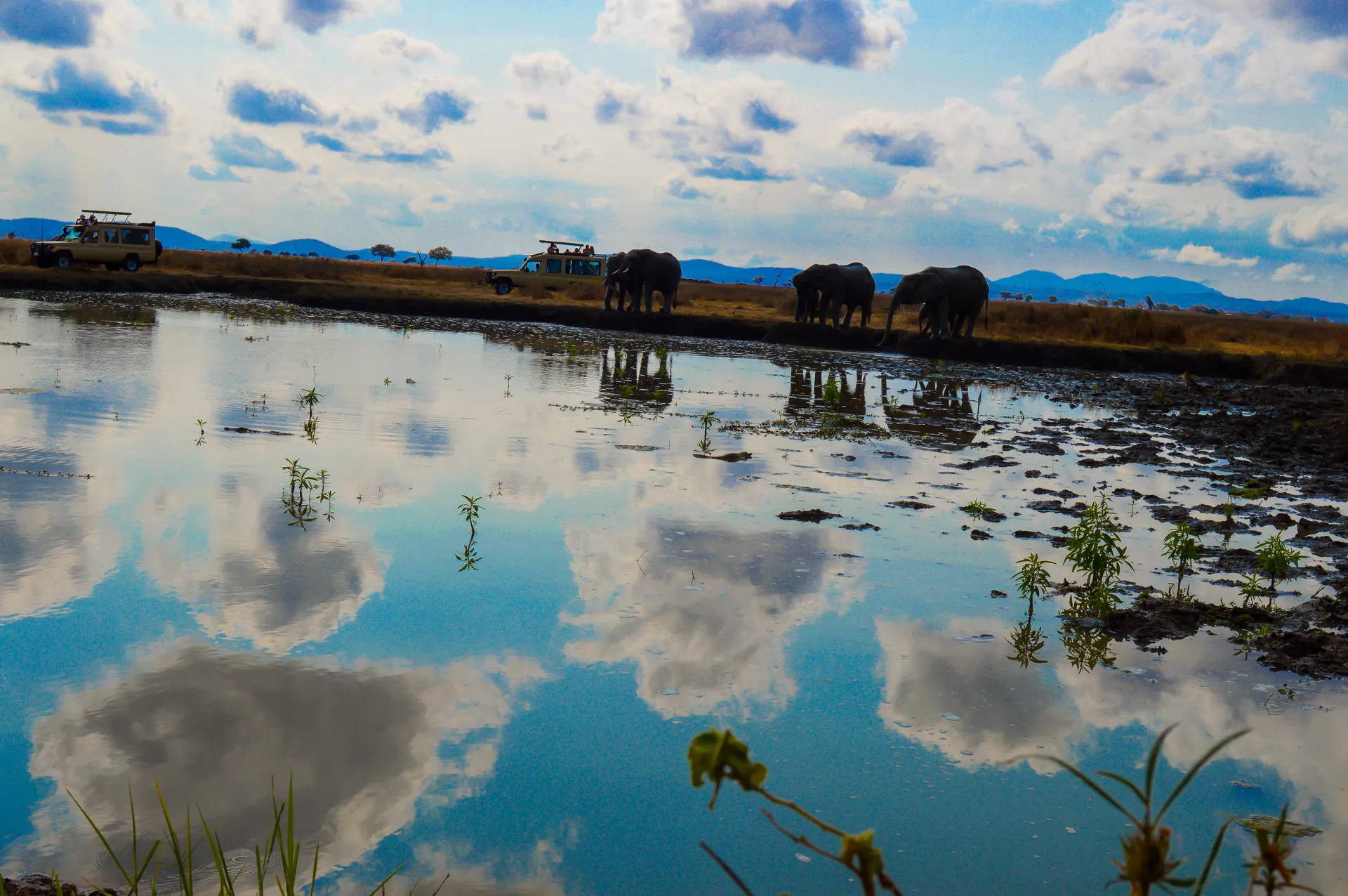 Private Safari in Mikumi National Park
