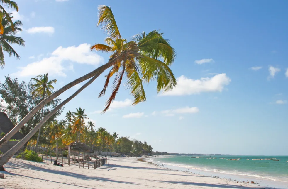 Palm-lined tropical beach on the coast of Zanzibar