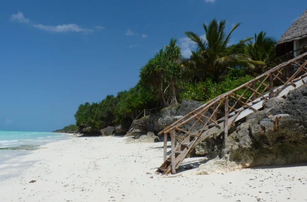Quiet white-sand beach and tropical vegetation in Zanzibar
